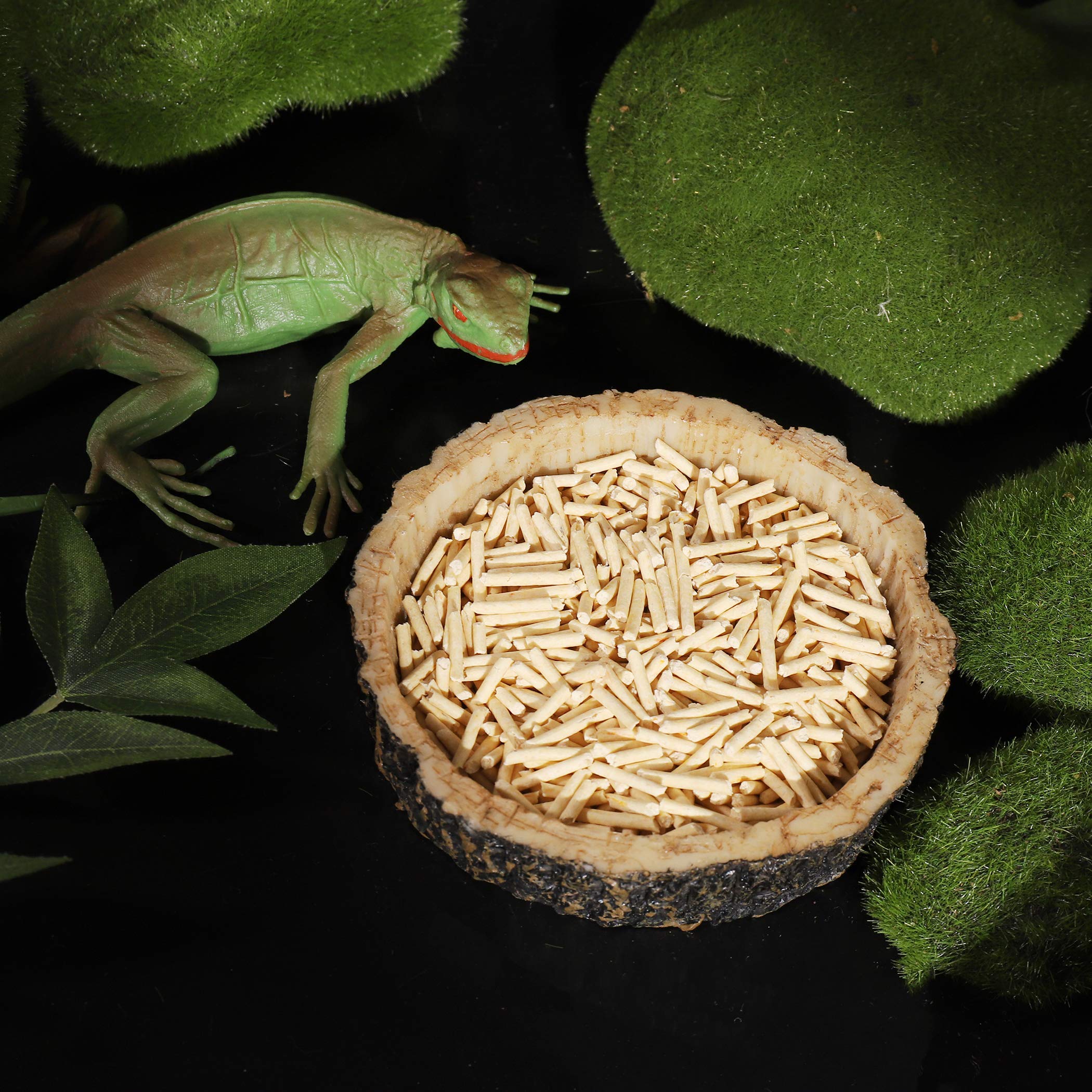 CalPalmy 2 Pack Reptile Water and Food Bowls, Novelty Food Bowl for Lizards, Young Bearded Dragons, Small Snakes and More - Made